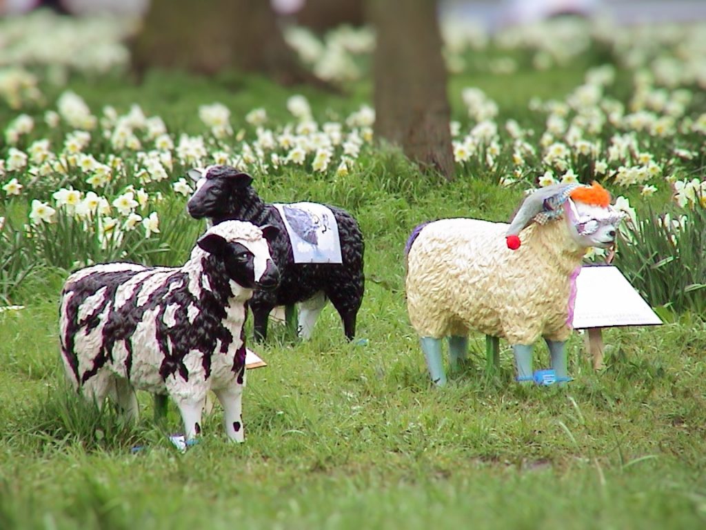 Kunstzinnige schapen